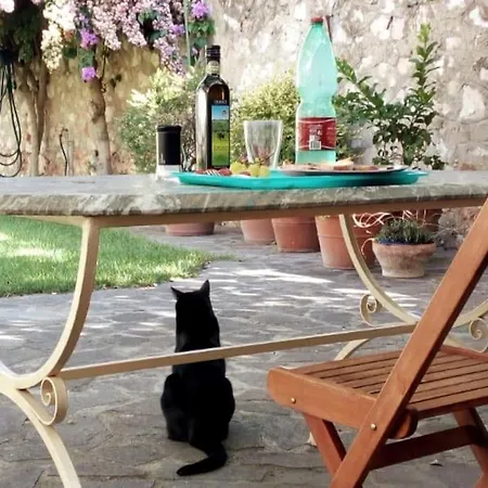 Garden *